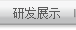 研发展示